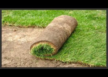 10 Different Uses for Sod Explained