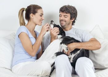 Consider These 6 Things Before Adopting a Pooch with Your Partner