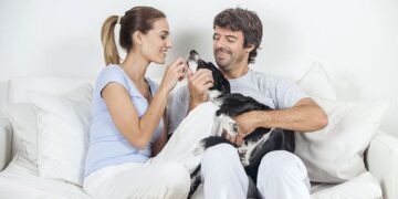 Consider These 6 Things Before Adopting a Pooch with Your Partner